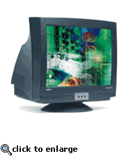 NEC AccuSync 90 Black